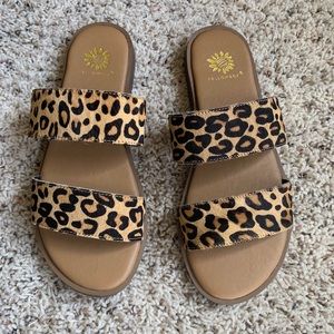 Yellow Box Blanius Cheetah Sz 8 Never worn